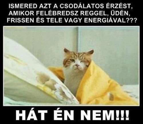 0dea45138ecd8d0e5e54454d3f443d83