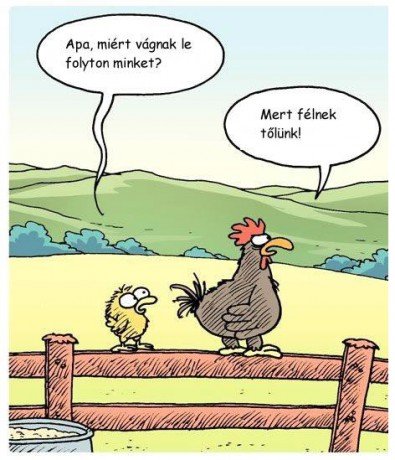 578487_436544553089454_211959158_n