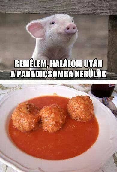 vicces_kep_2014_01_25_14_01_33